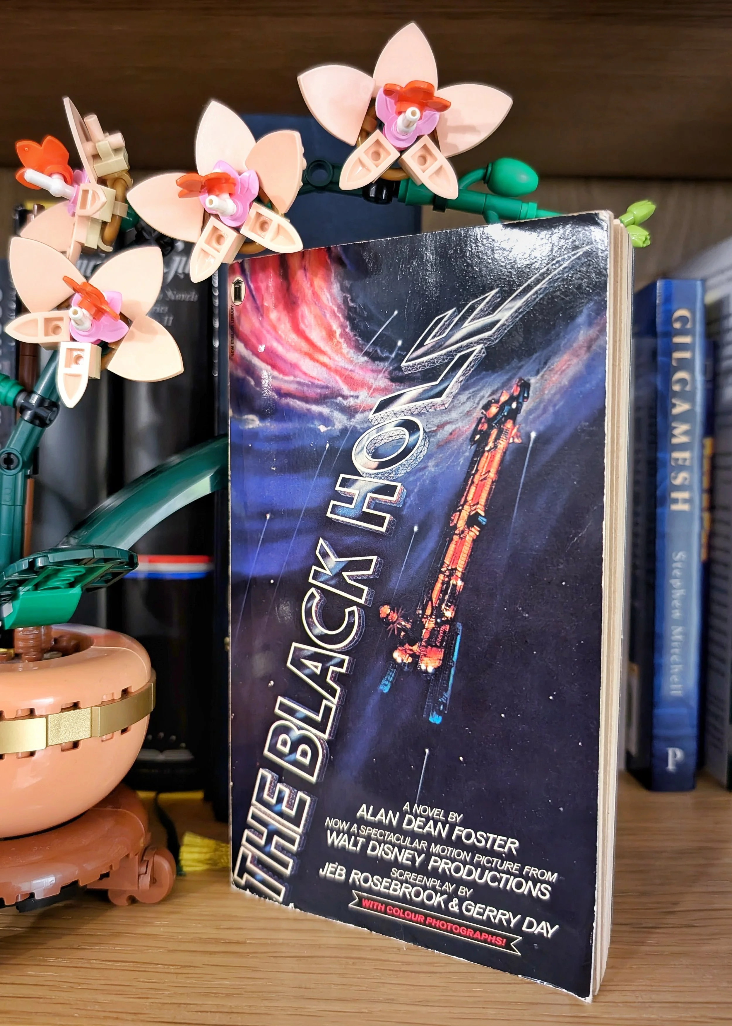 Book Review: The Black Hole — Alan K. Dell
